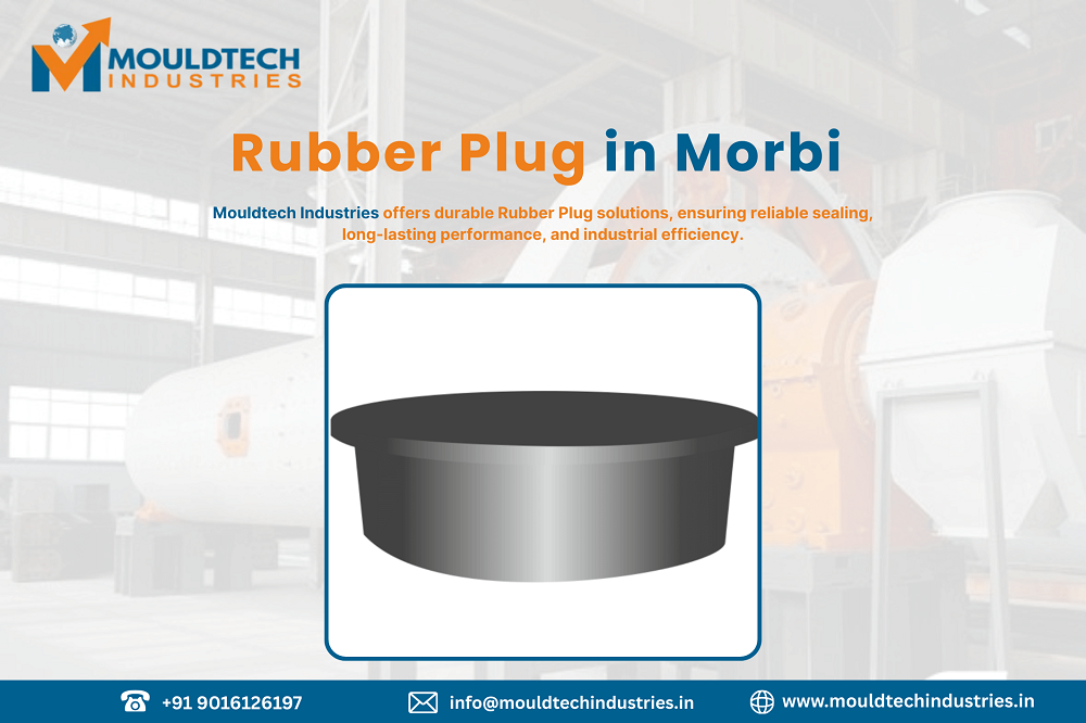 rubber plug in morbi